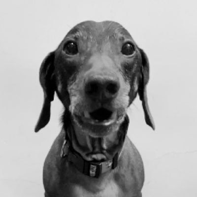 jacjacjacq9's profile picture. 