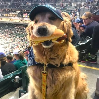 j0hnnxsuh's profile picture. #OneAndOnly #JOHNNY