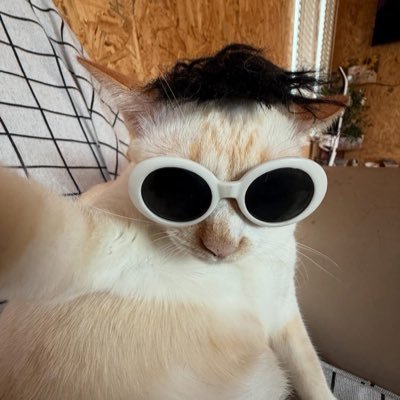 mukmik0094's profile picture. 看啥！