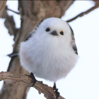 uti04120's profile picture. 