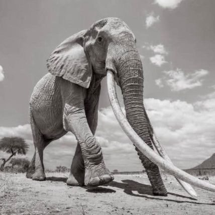 tewe_micha44104's profile picture. 