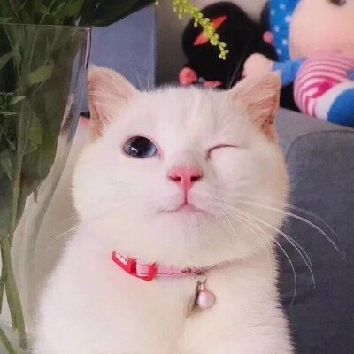 yinhe85804's profile picture. ujadkankn