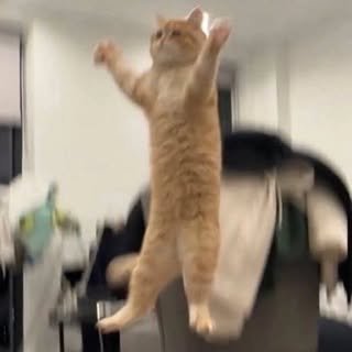 NAWAPPITAN's profile picture. SHENXIONG – 🈸️ #SHEN #XIONG 🧸 | JINJIN – #JINWOOKkim