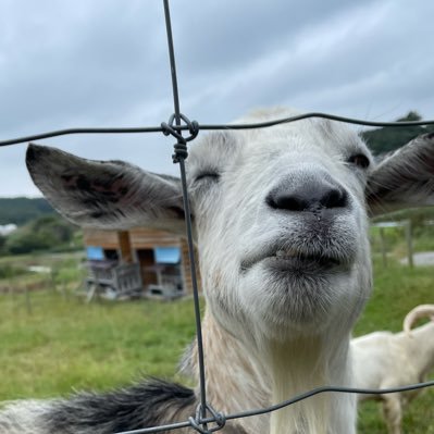 Scoreup1205's profile picture. 学年最下位の自分が、学年最下位脱出をする物語 #勉強垢 Studyplusもやってるのでフォローお願いします！！（むらさんという名前です）