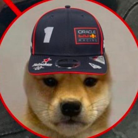 sl5623321855462's profile picture. ᴍᴏʀɴɪɴɢ
 ต ᳐ ᷇ᵕ  ᷆ ᳐ต੭