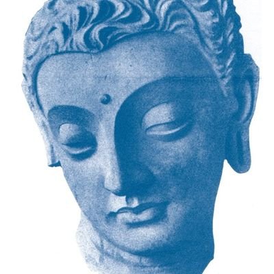 genofmav's profile picture. 