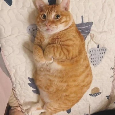 Piotr783857's profile picture.