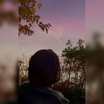 maybeAmani's profile picture. كَعُودٍ زَادَهُ الإحراقُ طِيبا.