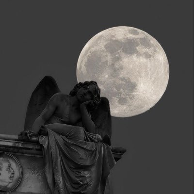 1bnerashid's profile picture. when we make plans, God laughs