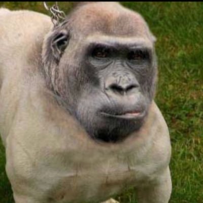 DayiminDefteri's profile picture. Metafizik, günlük, gözlem, saçma düşünceler. kafama ne gelirse yazarım. geri TAKIP var. öptüm.