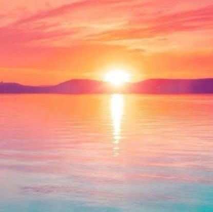 peace208208_'s profile picture. Reposts,Quote posts,Likes n Replies are not endorsements !