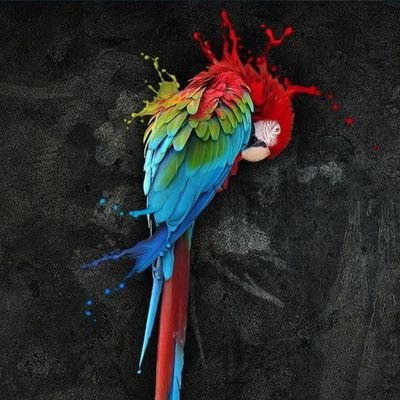 Drealm_Sec's profile picture. cyBER_seCURITY_reSEARCHER