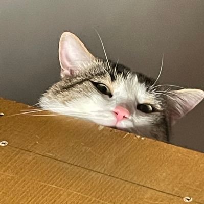 Priprincy1's profile picture. 