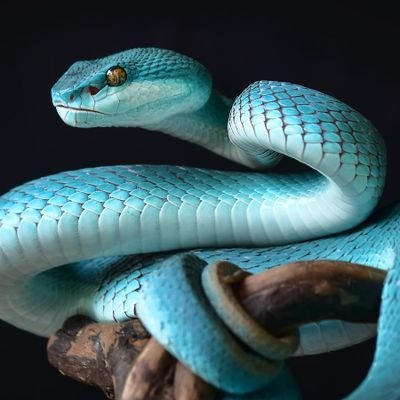 generativeai123's profile picture. 