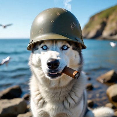 SoshalHoushing's profile picture. Product @ NahYeh