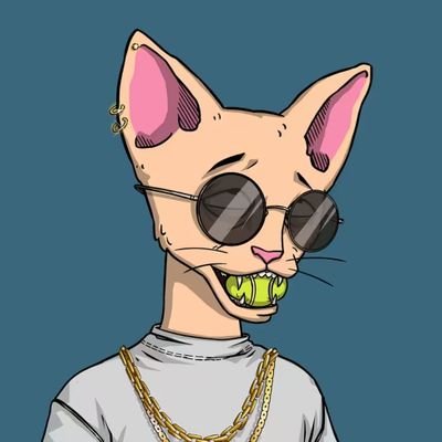 MartinXsol's profile picture. The ditch is out of fuel. web3