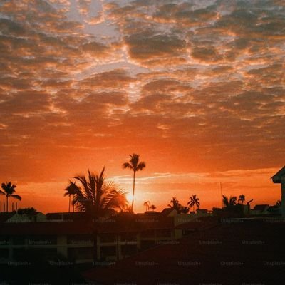 bunnybehindbar's profile picture. 