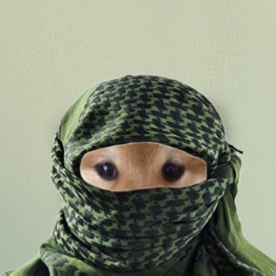 wifimoneykila's profile picture. Founder of @CookClan_

https://t.co/4sGHIW4m6L