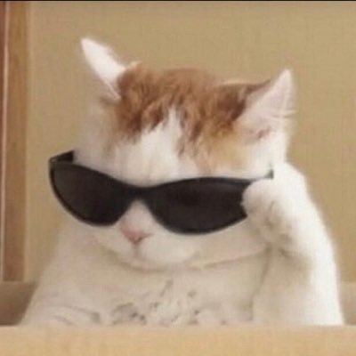 koltowkayo's profile picture. Nothing