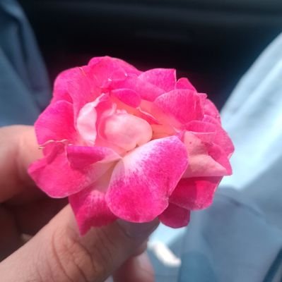 sajjad_k42's profile picture. | Critical Theory |
Postcolonialism | Resistance |