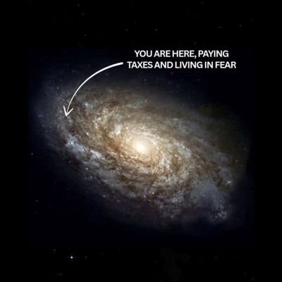 SethLalits's profile picture. RT's ≠ ENDORSEMENT.
Views Personal. Trolls blocked. Stupid is knowing the Truth, seeing the Truth, but believing the LIES & Voting for LIES. Cruel Fact.😑