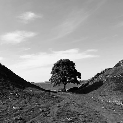 robert_benfield's profile picture. Dad, Grandad,Military Aviation,Photography,Motorcycle Racing,Cycling,Wildlife,History ,Travelling,and WBA supporter.
