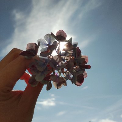 malice_sa's profile picture. 独り言。 
Bands & Books are indispensable.
Love Tinky-winky and Snufkin, Scottish shortbread and coffee.
From HK to the UK🇬🇧...stay tuned🐸