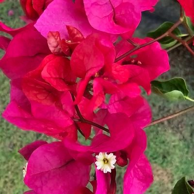 queen_fsm's profile picture. 🌻my baby queen faye🌹|2016: MGS&MGT 👸MGI🥉|2021: Zoom Dara Rising Star🏆|2024:KCL Beauty Queen OTY👸|2025 : Maya Awards Best Actress 🏆#fayemily ~fayeonly