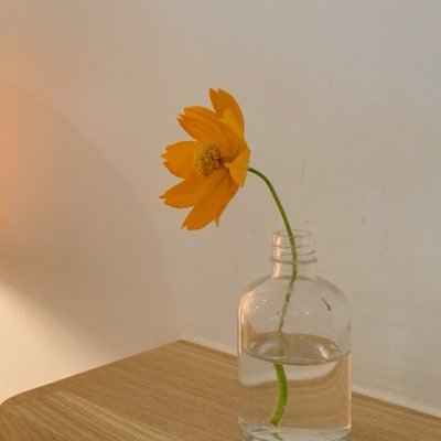 ayaka30j's profile picture. 三戸ちゃんのおかげでアルビレックス新潟が大好きになりました🦢🍊