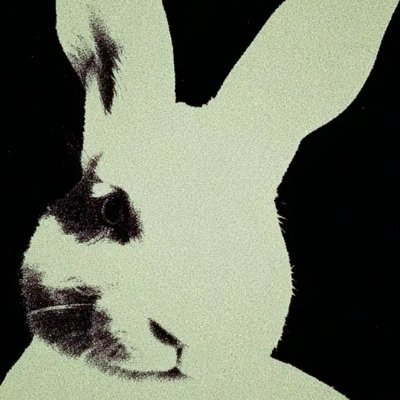 fetkett's profile picture. Bijo