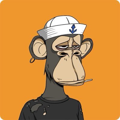 solanaxai's profile picture. Solana Xai ⌐◨-◨ | Consultant | Design Director | Ex @kpmg @mintify @massachain @crypto_skulls | @solana maxi 🚀 | Substack @investingxai | $NVDA $TSLA $SOL