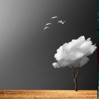 W_lli1j's profile picture. اللهُم بدل أقدارنا إلى أجملها، فإنك القادر الذي لا يعجزه شئ اللهُم كُن لأُمنياتنا مجيباً ولضعفنا سنداً، ولإنكساراتنا جابراً.insta :Walaa.abdullah_^👩‍💻CS