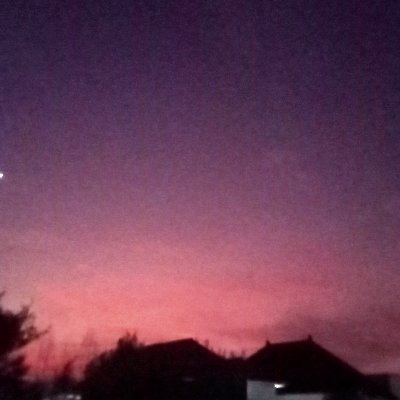 NiaVara10978's profile picture. 