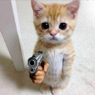 niksairdrop's profile picture. Crypto🫡