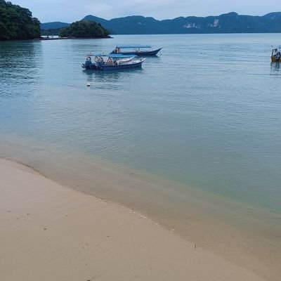 RaviReddy797's profile picture. 