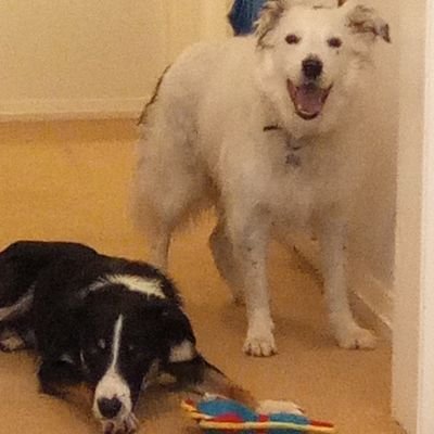 MrMRHouston's profile picture. Husband, father, priest in the Church of England, bass guitar thumping Jesus Freak who is loving life. All views my own. BigHousty where the sky is blue