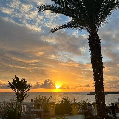 M1555321039732's profile picture. 