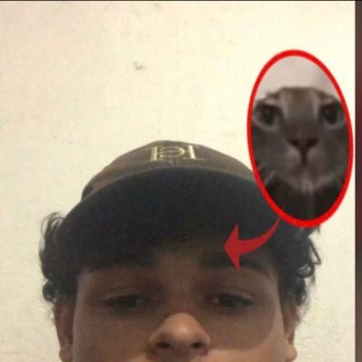 eduhkkb's profile picture. Designer de Artes Esportivas e Corporativas, jogador de TFT nas horas vagas joaoeduardor.castro@gmail.com 📩