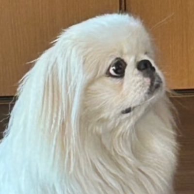 @P4vone23