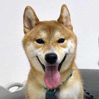 SophiaRobe3587's profile picture. 🌸 今日も笑顔で前へ。小さな幸せを大切にしたい。 🌸