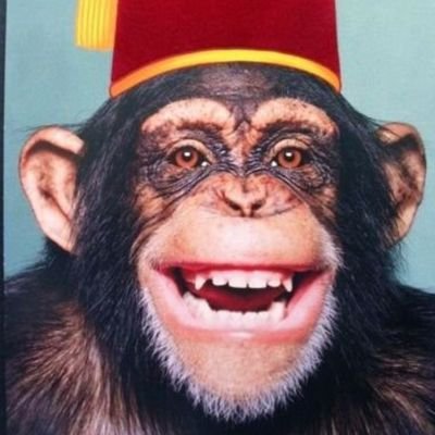 Harrell418588's profile picture. Always looking for ways to serve the LORD,  blessed of God to do His work . Like to learn everything I can to help Christian conservatives in government.