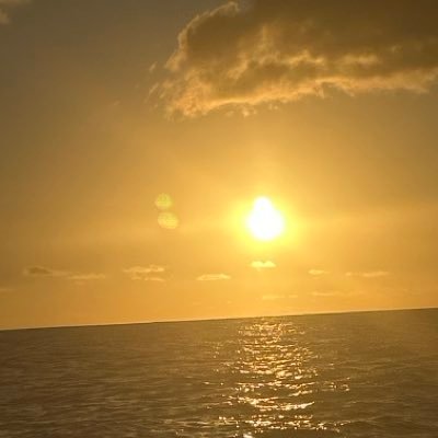 hugoh3450's profile picture. Hello, fan de tout les artiste américain ( Taylor Swift , Ariana Grande , Charlie Xcx Madison berr ) et plein d’autre , Compte fan : @TswiftiesNew