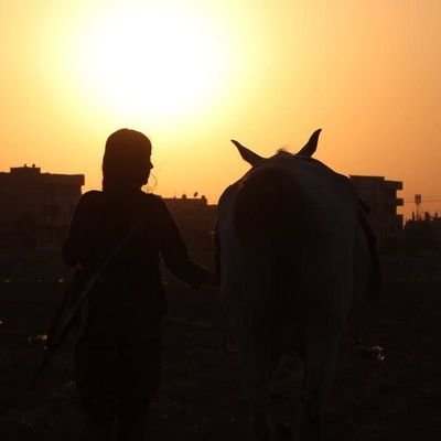 viyan__kobane's profile picture. Roj û heyv di wêneyekî de🌿☀️