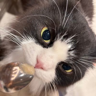 R8669148362611's profile picture. 大学生 男 日常