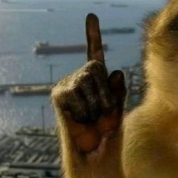 sinmengnv's profile picture. 赛博肛瘘代言人