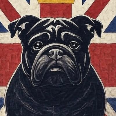 _ReformUK_'s profile picture. 🇬🇧Proud patriot. Pro-remigration, strong borders, & Reform Party supporter. Fighting for sovereignty & common-sense values. #ReformUK