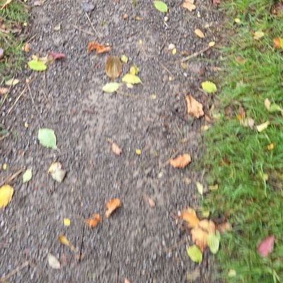 vinnyv1319643's profile picture. 