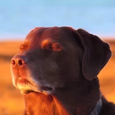 pencile23's profile picture. 