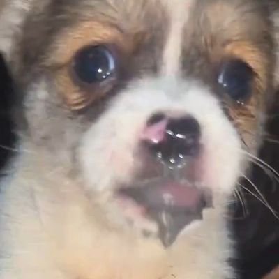 syn_kolezanki's profile picture. artysta, filantrop