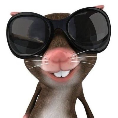 reeeeeeenqq's profile picture. 